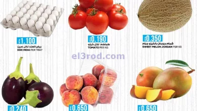 el3rod.com00001-669