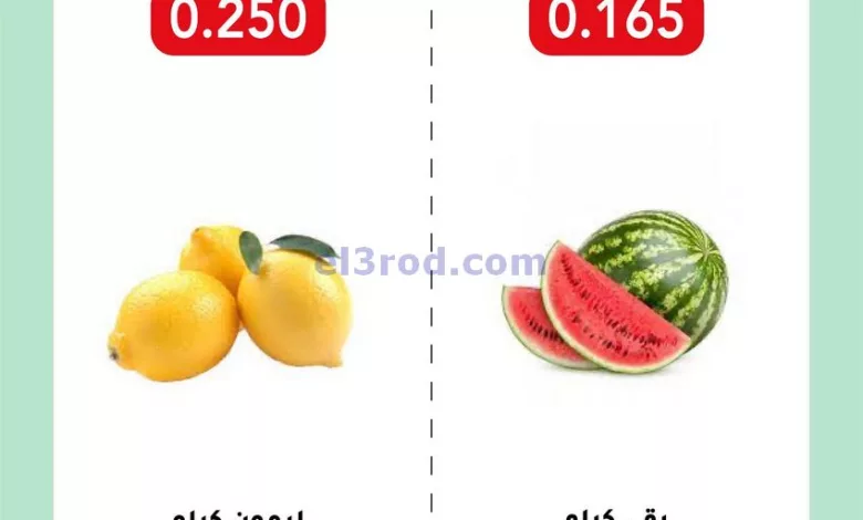 el3rod.com00001-880