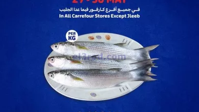 el3rod.com00002-918
