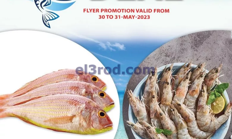 el3rod.com00002-967