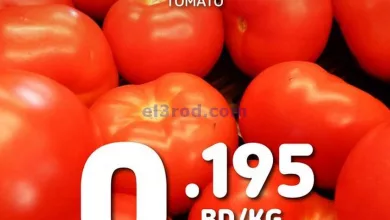 el3rod.com00004-731
