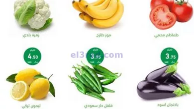 el3rod.com00004-739