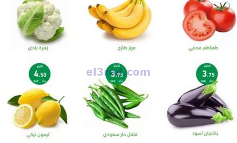 el3rod.com00004-739