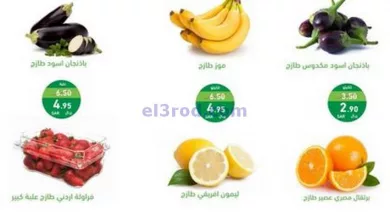 el3rod.com00005-179