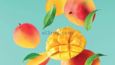 el3rod.com00006-396