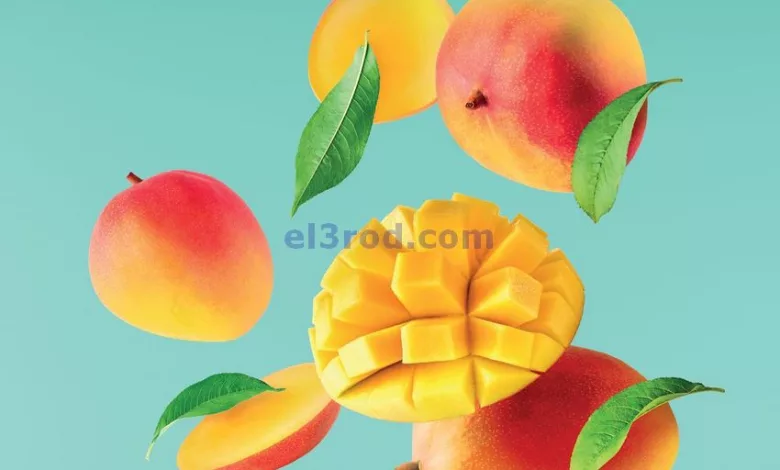 el3rod.com00006-396