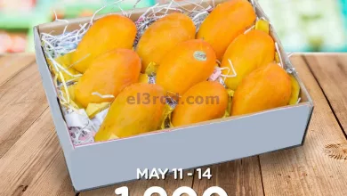 el3rod.com00039-22