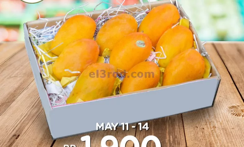 el3rod.com00039-22