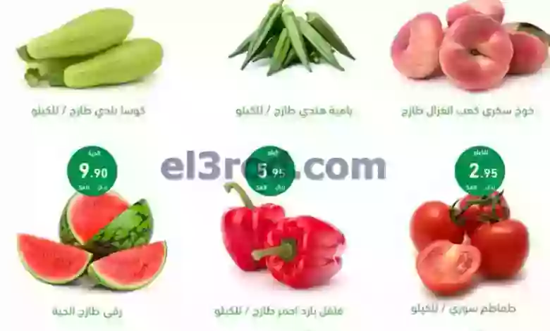 el3rod.com00001-102