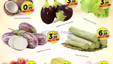 el3rod.com00001-212