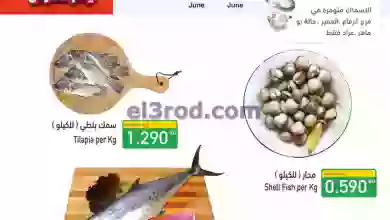 el3rod.com00001-24