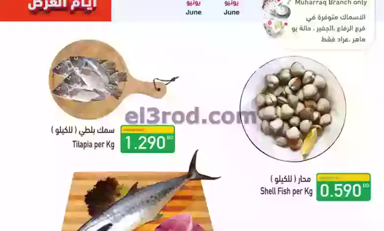 el3rod.com00001-24