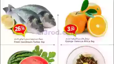 el3rod.com00001-302