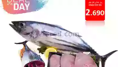 el3rod.com00001-309