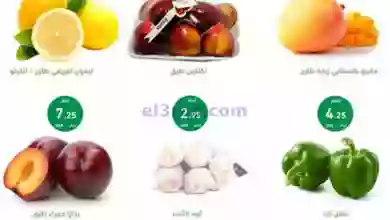 el3rod.com00001-400