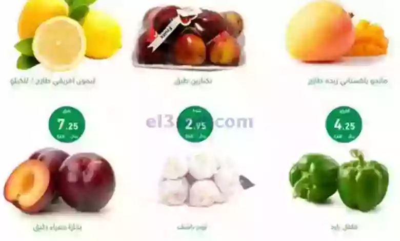 el3rod.com00001-400