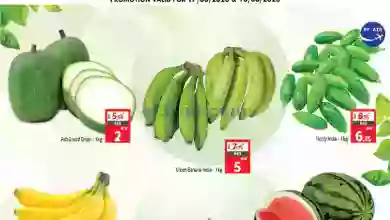 el3rod.com00001-419