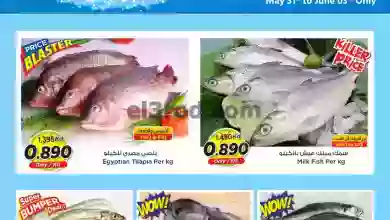 el3rod.com00001-44