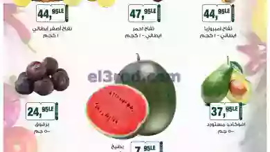 el3rod.com00001-50