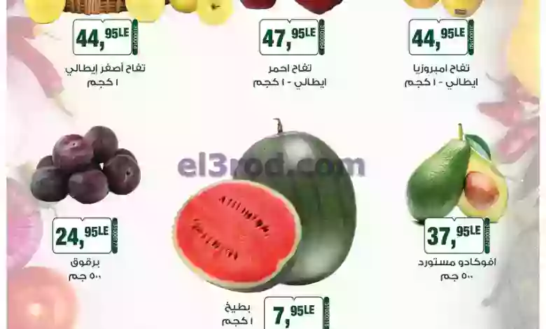 el3rod.com00001-50
