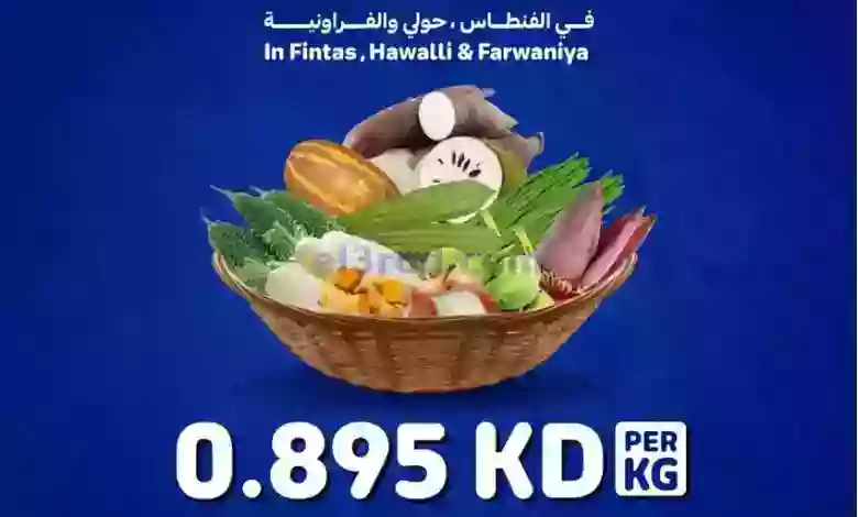el3rod.com00001-575