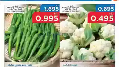 el3rod.com00001-576