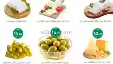 el3rod.com00001-741