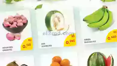 el3rod.com00001-772