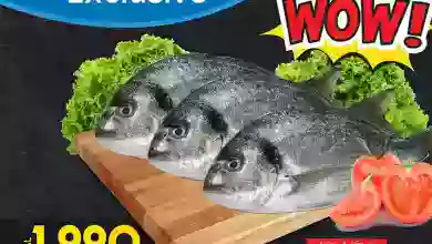 el3rod.com00001-804