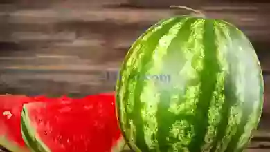 el3rod.com00001-851