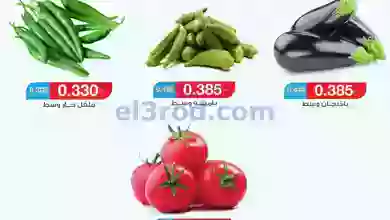 el3rod.com00002-220