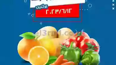 el3rod.com00002-222