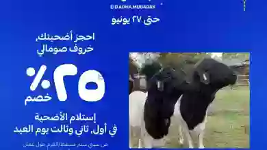 el3rod.com00002-599