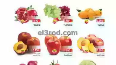 el3rod.com00002-6