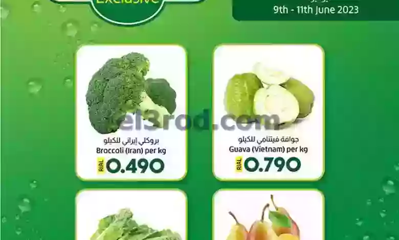 el3rod.com00002-96