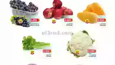 el3rod.com00004-224