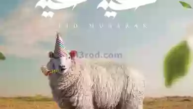 عروض العابد مول مصر|21 حتى 30-6-2023|عيد الأضحى el3rod.com00028-63
