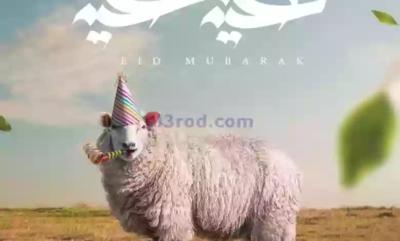 el3rod.com00028-63