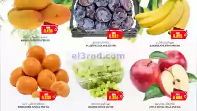 el3rod.com00001-1002