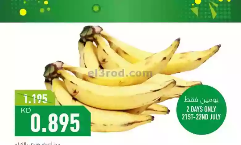 el3rod.com00001-1059