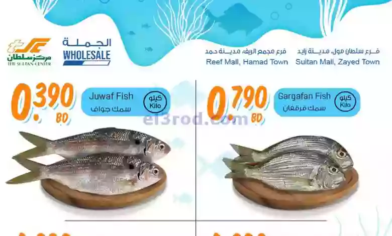 el3rod.com00001-1180