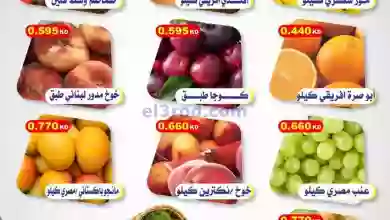 el3rod.com00001-1254