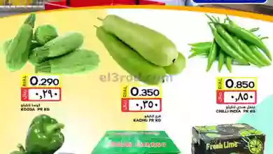 el3rod.com00001-1334