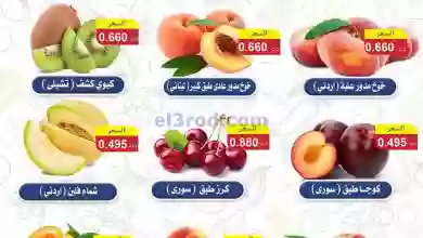 el3rod.com00001-1363