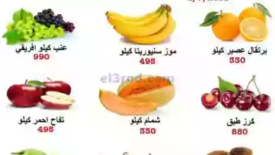 el3rod.com00001-152