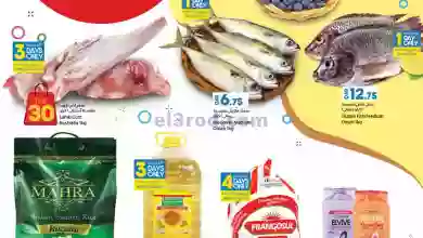 el3rod.com00001-1586