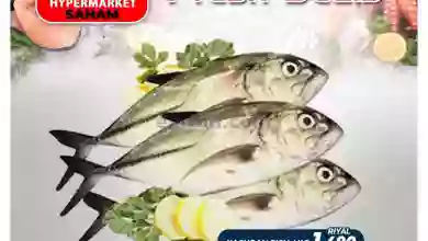 el3rod.com00001-18