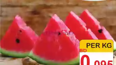 el3rod.com00001-260