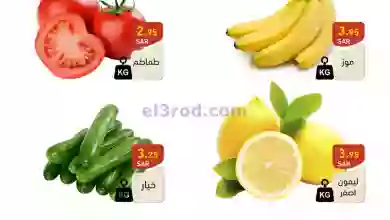el3rod.com00001-272