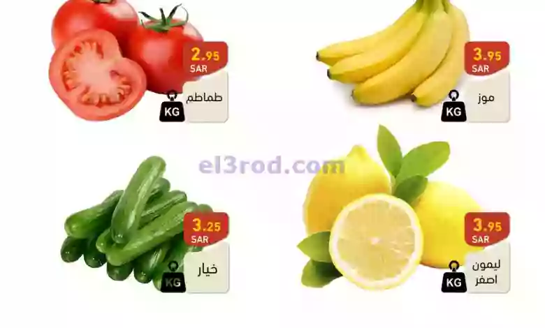 el3rod.com00001-272